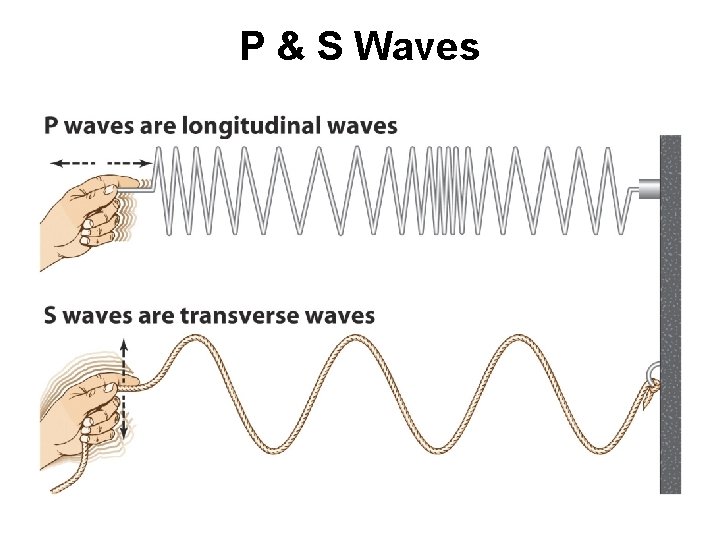 P & S Waves P & S Waves