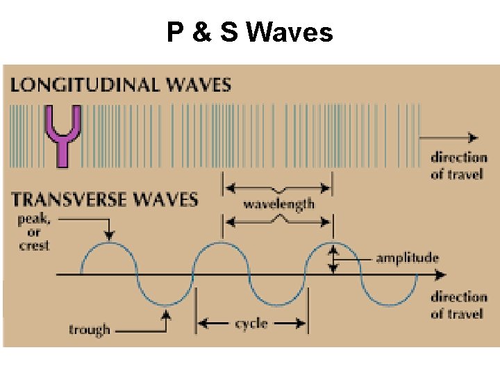 P & S Waves P & S Waves