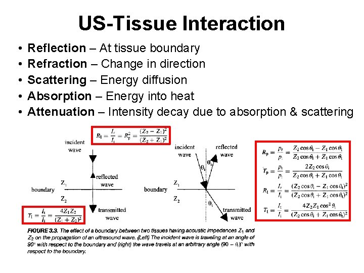 US-Tissue Interaction • • • Reflection – At tissue boundary Refraction – Change in US-Tissue Interaction • • • Reflection – At tissue boundary Refraction – Change in