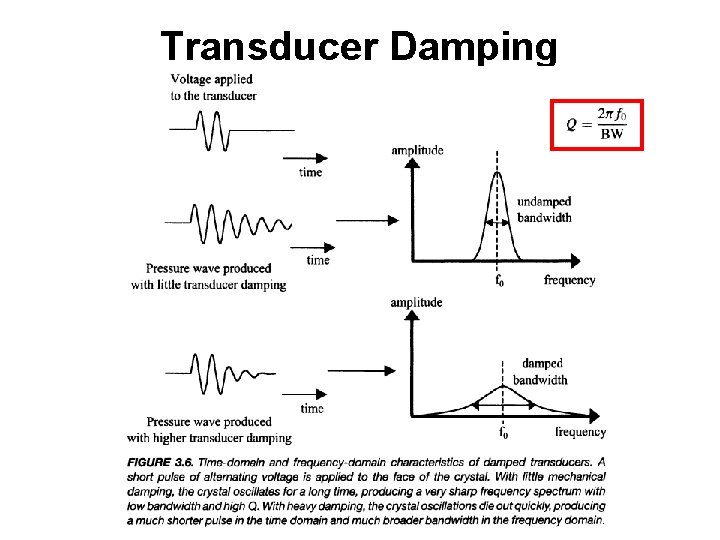 Transducer Damping Transducer Damping
