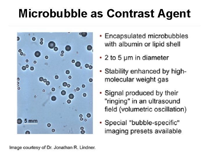 Microbubble as Contrast Agent Microbubble as Contrast Agent