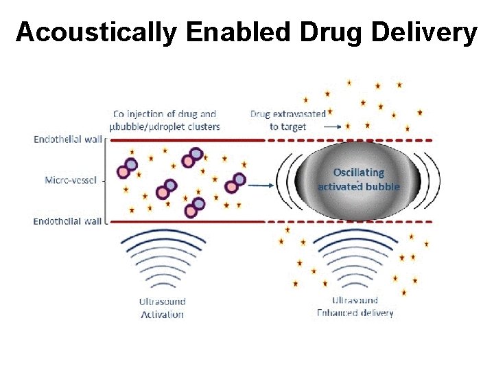 Acoustically Enabled Drug Delivery Acoustically Enabled Drug Delivery