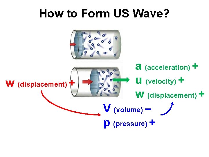 How to Form US Wave? w (displacement) + a (acceleration) + u (velocity) + How to Form US Wave? w (displacement) + a (acceleration) + u (velocity) +