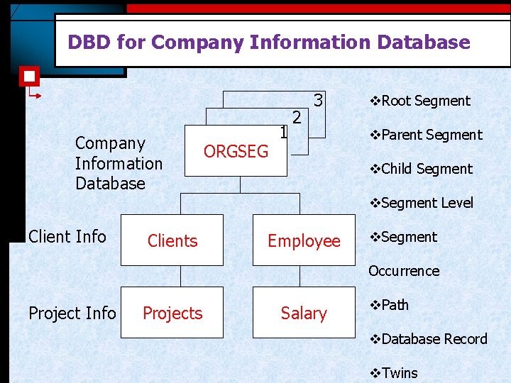 DBD for Company Information Database ORGSEG 1 2 3 v. Root Segment v. Parent