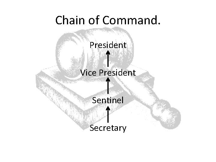 Chain of Command. President Vice President Sentinel Secretary 