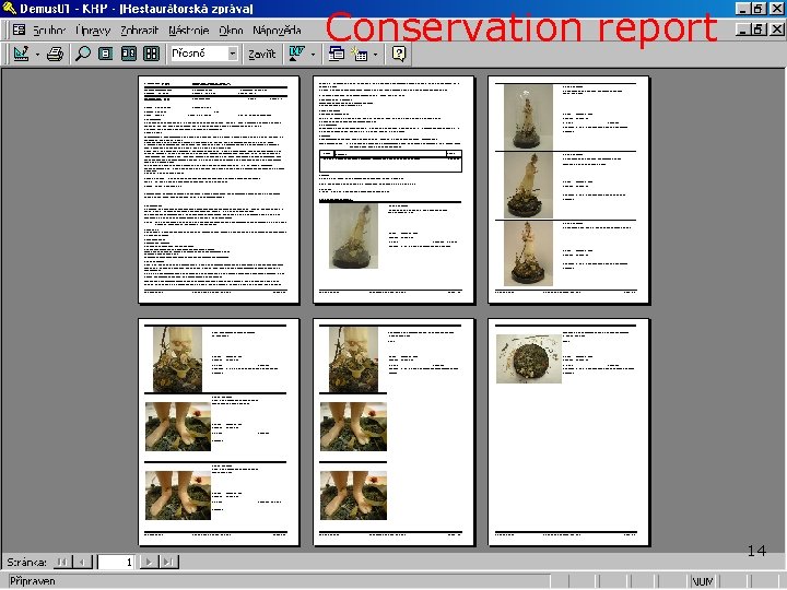 Conservation report 14 