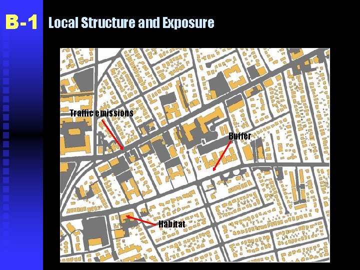 B-1 Local Structure and Exposure Traffic emissions Buffer Habitat 