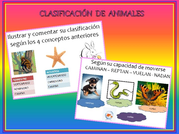 CLASIFICACIÓN DE ANIMALES 