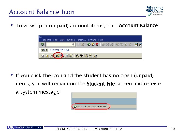 Account Balance Icon • To view open (unpaid) account items, click Account Balance. •