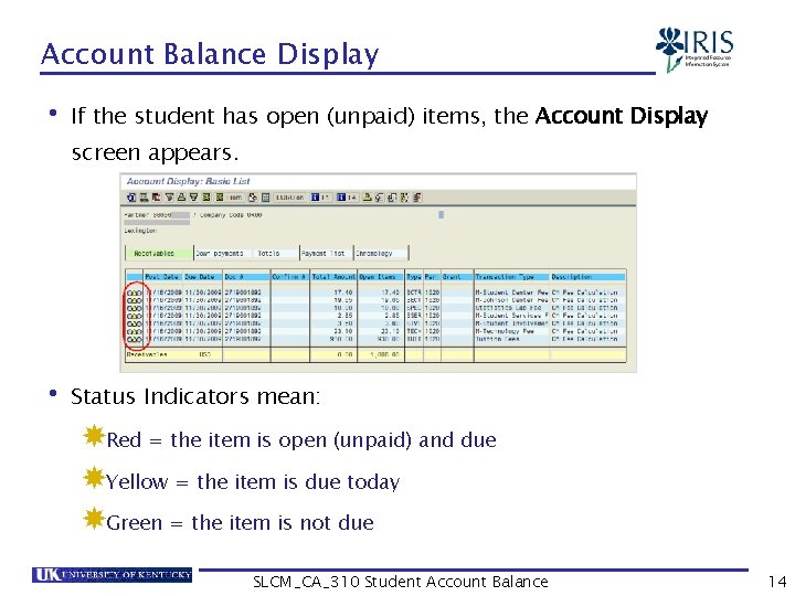 Account Balance Display • If the student has open (unpaid) items, the Account Display