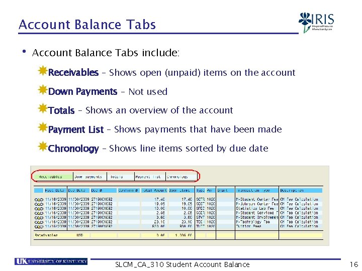 Account Balance Tabs • Account Balance Tabs include: Receivables – Shows open (unpaid) items