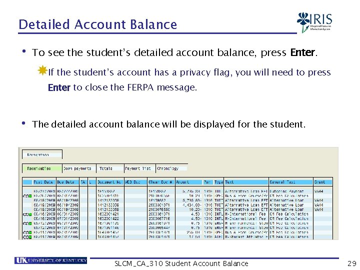 Detailed Account Balance • To see the student’s detailed account balance, press Enter. If