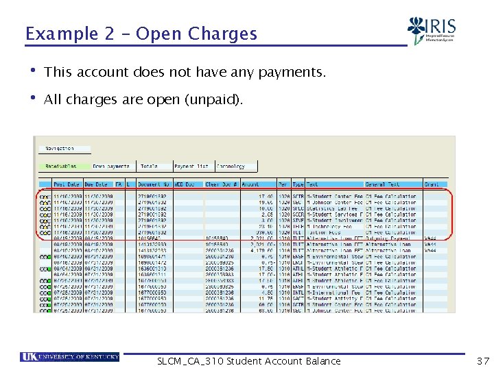 Example 2 – Open Charges • This account does not have any payments. •