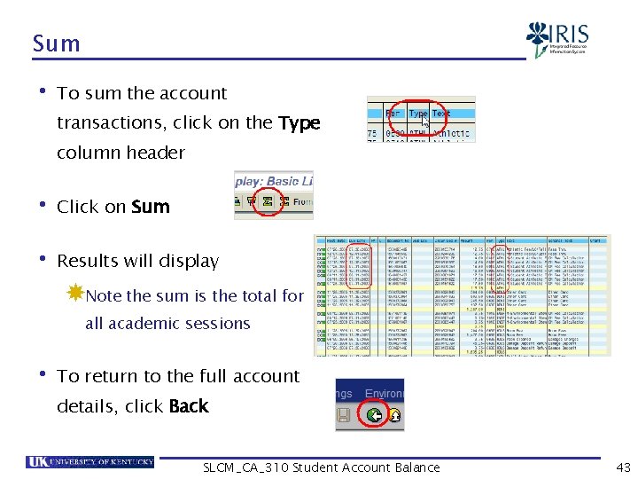 Sum • To sum the account transactions, click on the Type column header •