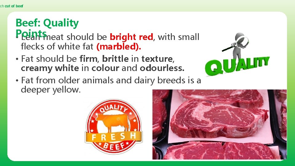 ch cut of beef Beef: Quality Points • Lean meat should be bright red,