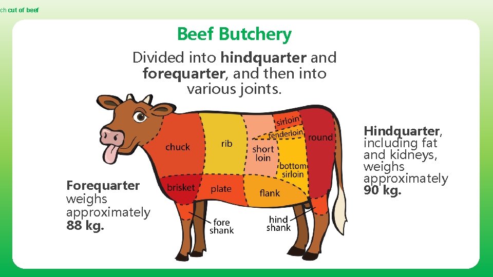 ch cut of beef Butchery Divided into hindquarter and forequarter, and then into various