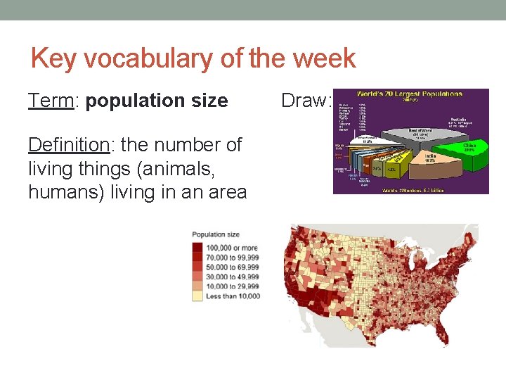 Key vocabulary of the week Term: population size Definition: the number of living things