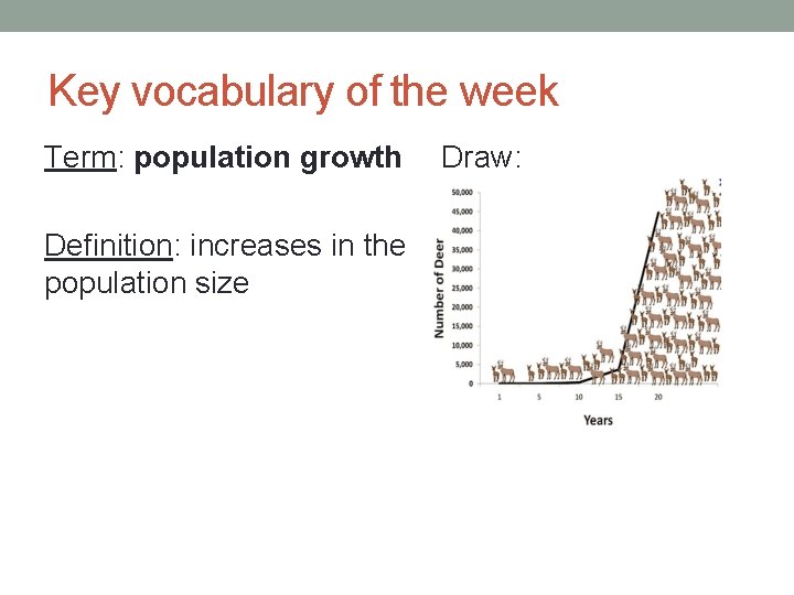 Key vocabulary of the week Term: population growth Definition: increases in the population size