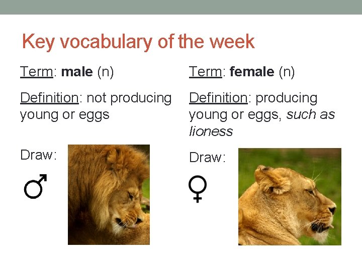 Key vocabulary of the week Term: male (n) Term: female (n) Definition: not producing