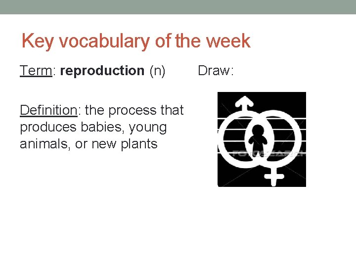 Key vocabulary of the week Term: reproduction (n) Definition: the process that produces babies,