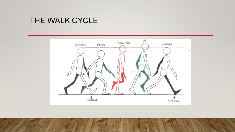 THE WALK CYCLE THE WALK CYCLE