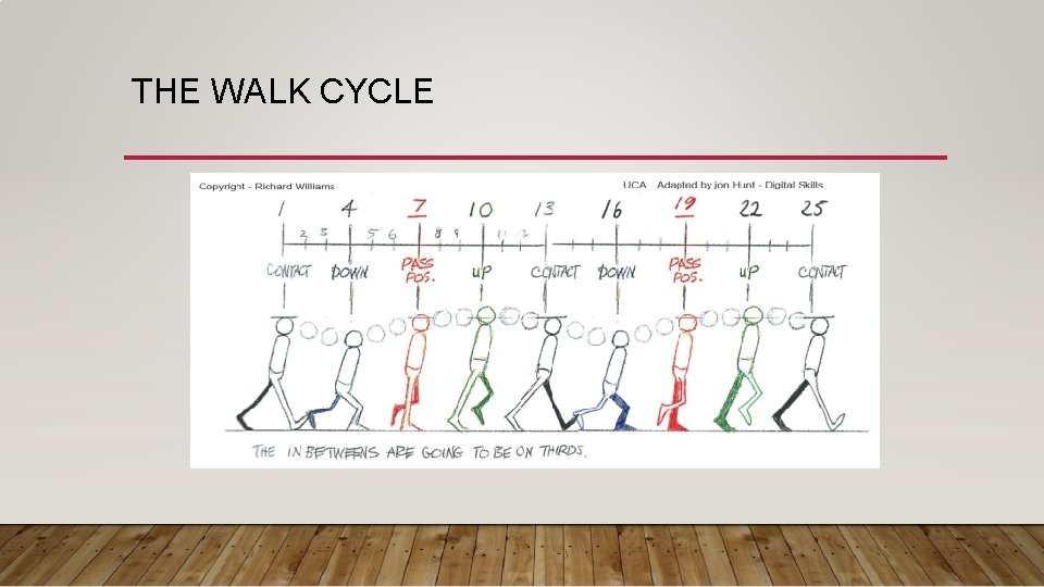 THE WALK CYCLE THE WALK CYCLE