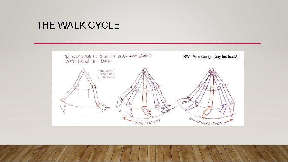 THE WALK CYCLE THE WALK CYCLE