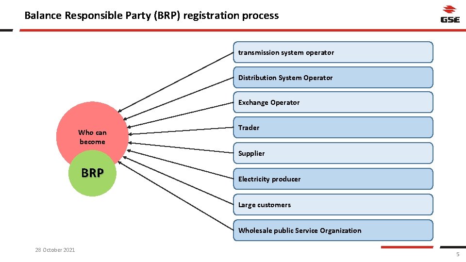 Balance Responsible Party (BRP) registration process transmission system operator Distribution System Operator Exchange Operator