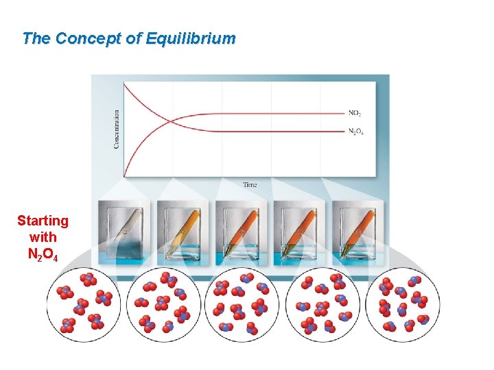 The Concept of Equilibrium Starting with N 2 O 4 