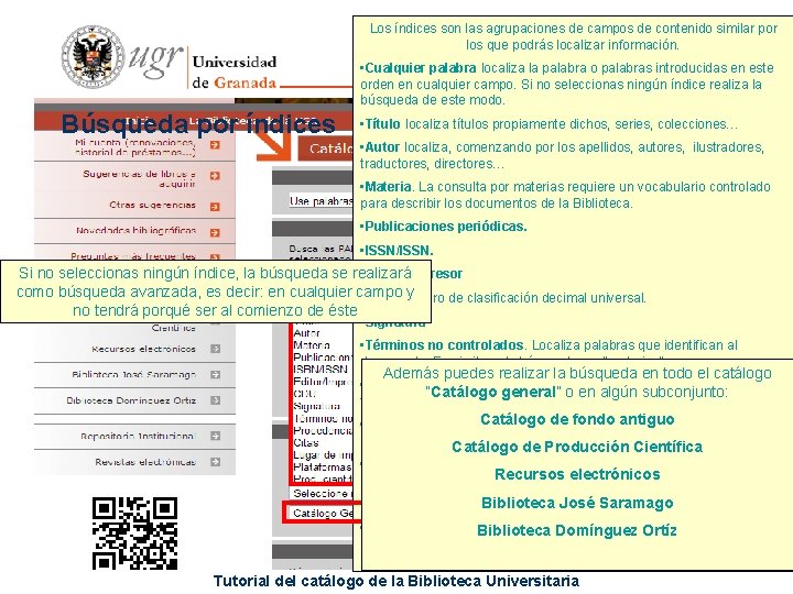 Los índices son las agrupaciones de campos de contenido similar por los que podrás