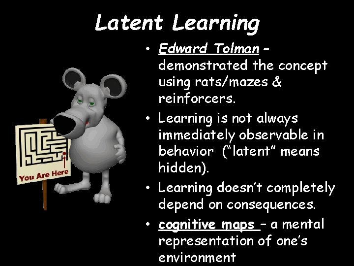 Latent Learning • Edward Tolman – demonstrated the concept using rats/mazes & reinforcers. •