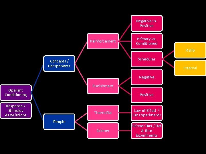 Negative vs. Positive Reinforcement Primary vs. Conditioned Ratio Schedules Concepts / Components Interval Negative