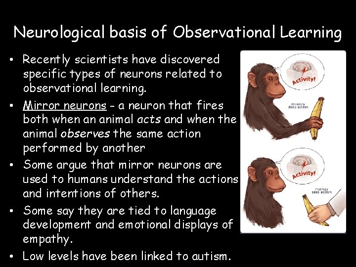 Neurological basis of Observational Learning • Recently scientists have discovered specific types of neurons