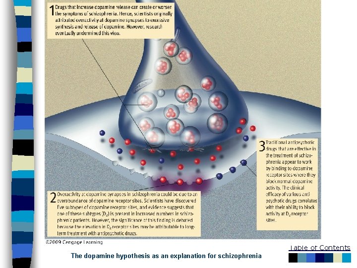 Table of Contents The dopamine hypothesis as an explanation for schizophrenia 