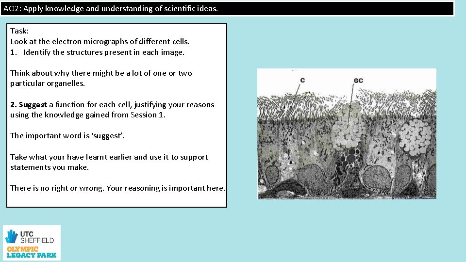 AO 2: Apply knowledge and understanding of scientific ideas. Task: Look at the electron