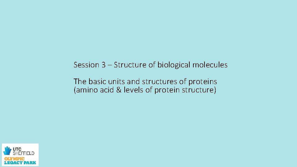 Session 3 – Structure of biological molecules The basic units and structures of proteins