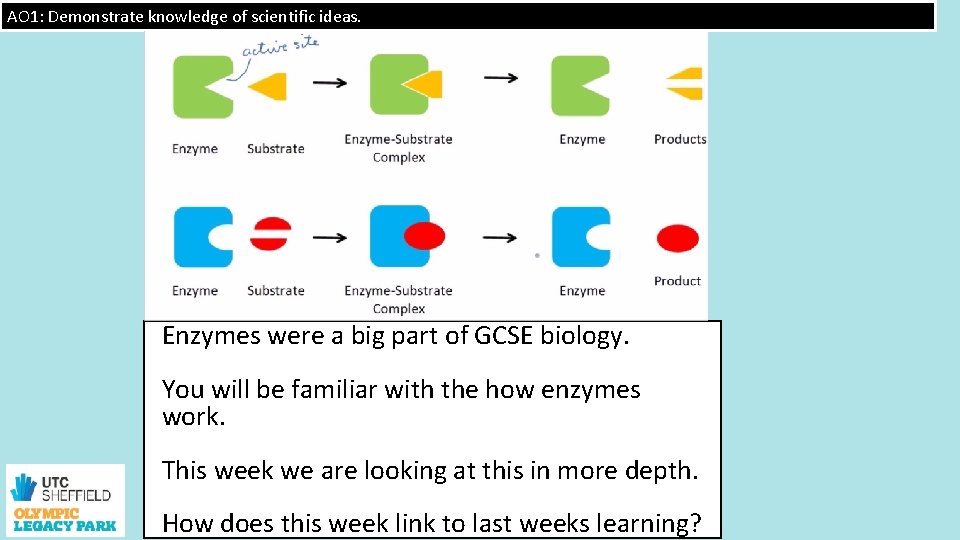 AO 1: Demonstrate knowledge of scientific ideas. Enzymes were a big part of GCSE