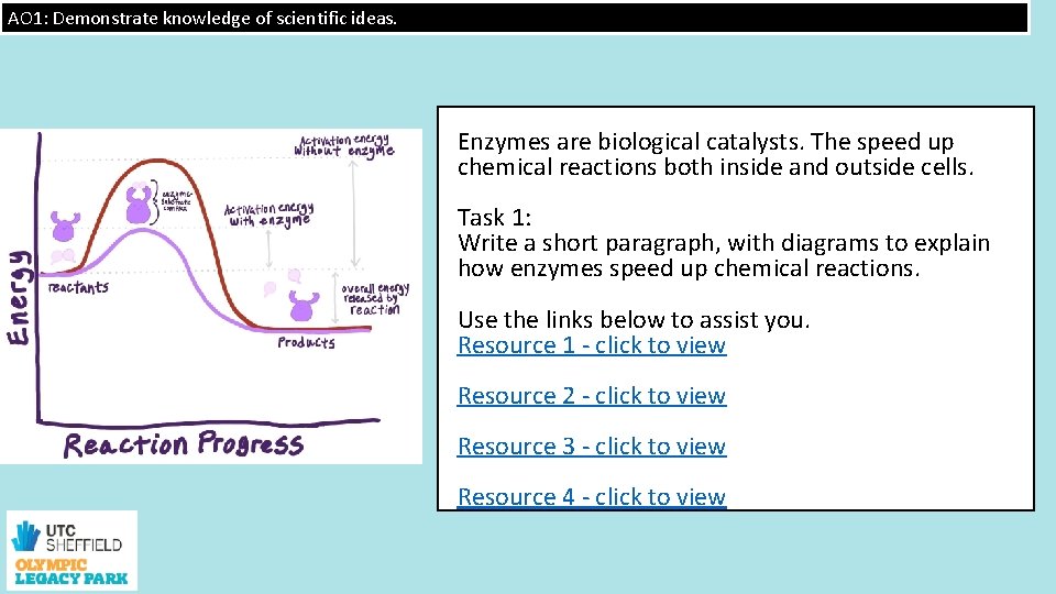 AO 1: Demonstrate knowledge of scientific ideas. Enzymes are biological catalysts. The speed up