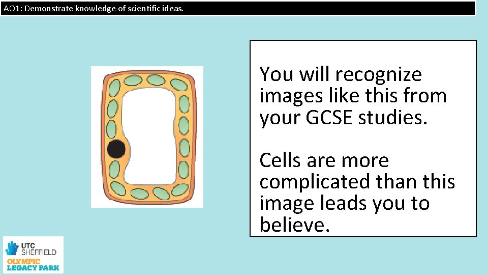 AO 1: Demonstrate knowledge of scientific ideas. You will recognize images like this from