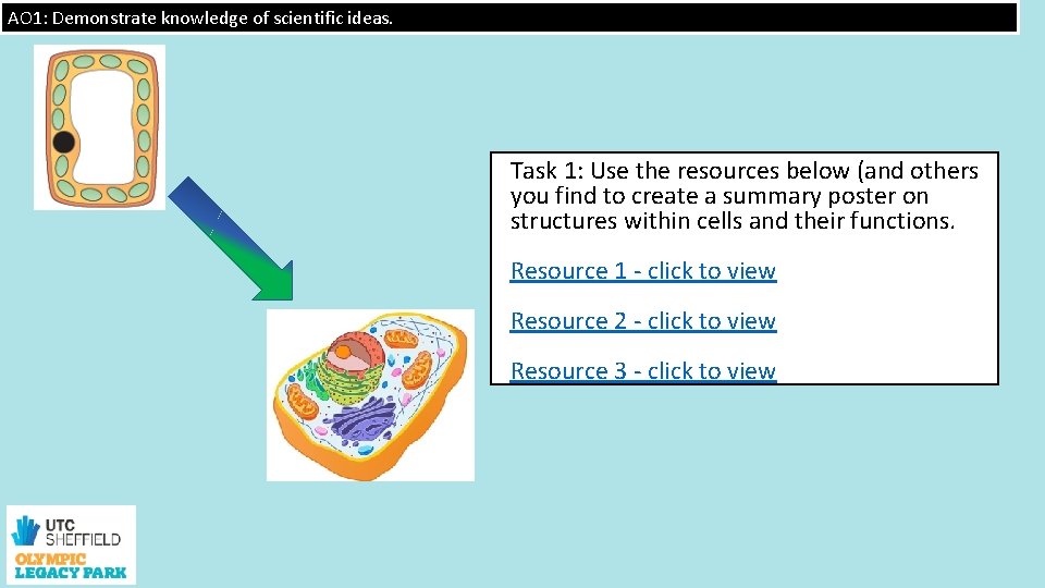 AO 1: Demonstrate knowledge of scientific ideas. Task 1: Use the resources below (and