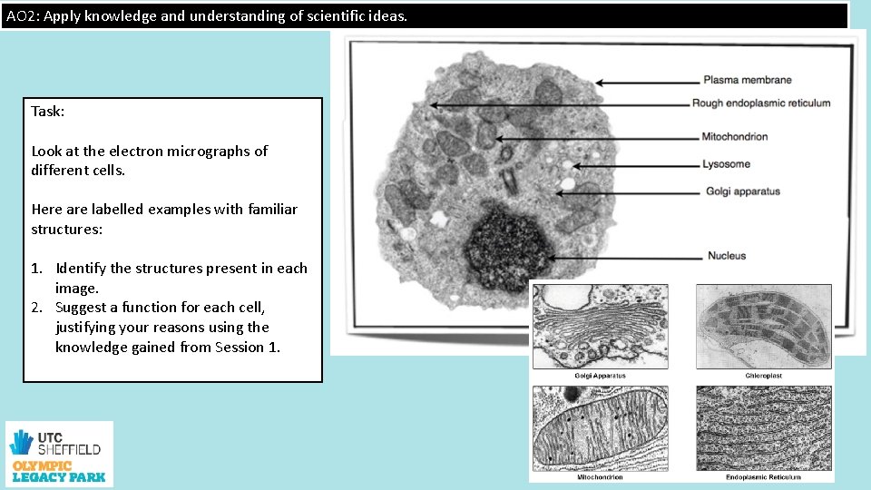 AO 2: Apply knowledge and understanding of scientific ideas. Task: Fallout Look at the