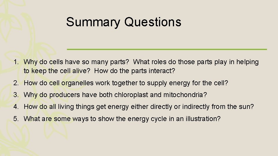 Summary Questions 1. Why do cells have so many parts? What roles do those