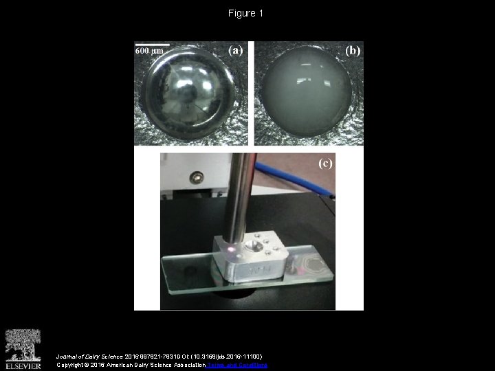 Figure 1 Journal of Dairy Science 2016 997821 -7831 DOI: (10. 3168/jds. 2016 -11100)