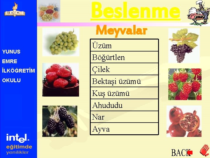 Beslenme Meyvalar YUNUS EMRE İLKÖĞRETİM OKULU Üzüm Böğürtlen Çilek Bektaşi üzümü Kuş üzümü Ahududu