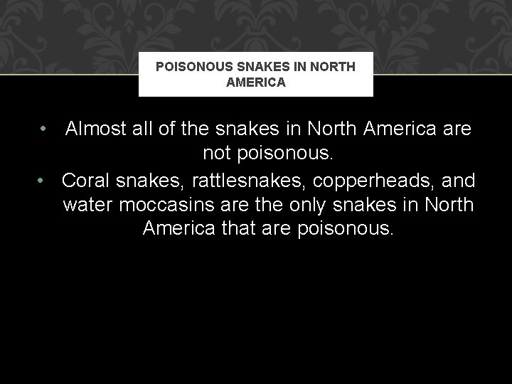 POISONOUS SNAKES IN NORTH AMERICA • Almost all of the snakes in North America