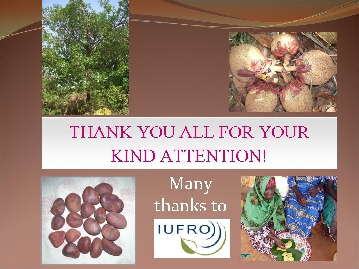 THANK YOU ALL FOR YOUR KIND ATTENTION! Many thanks to to 