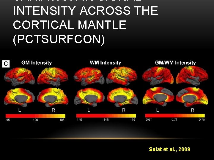 VARIATION IN SIGNAL INTENSITY ACROSS THE CORTICAL MANTLE (PCTSURFCON) Salat et al. , 2009