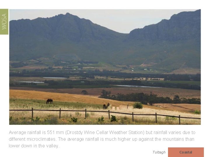 Average rainfall is 551 mm (Drostdy Wine Cellar Weather Station) but rainfall varies due