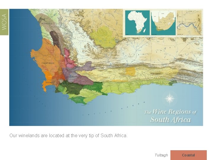 Our winelands are located at the very tip of South Africa. Tulbagh Coastal 