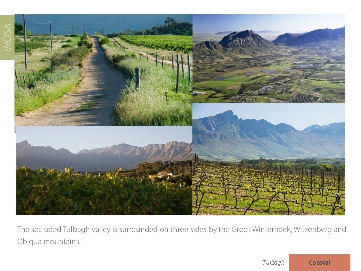 Tulbagh Coastal 